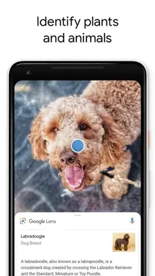 Google Lens android App screenshot 2